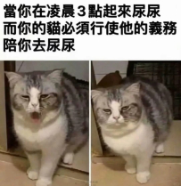 走吧
