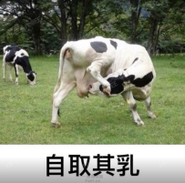 原料商
