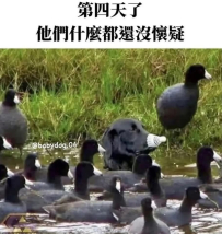 你看不到我